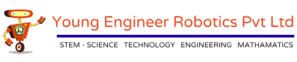 2pvt ltd transparent logo