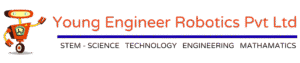 2pvt ltd transparent logo
